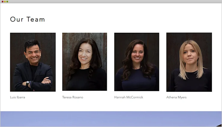Ibarra Rosano Wix Website project detail
