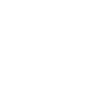 Automobile Dealership
