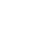 Beginner Auctions