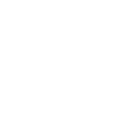 Buy It Now Auctions