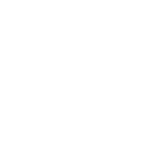 Collectibles & Coins