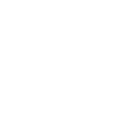 Custom E-Commerce Platform Development