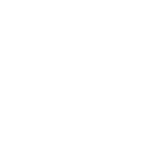 Hybrid Auction E-commerce Platforms