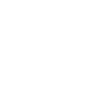 Magento Website Development