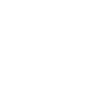 Local Optimization