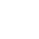 Police Car Auctions