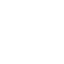 SEO Services + Advertising Services