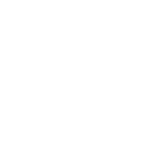 Syllabus Section