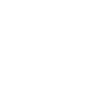 Web App Development Services