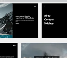 Tonle Webflow template preview