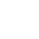 Customization & integration services