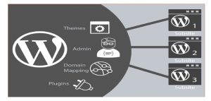 wordpress -multiwebsite