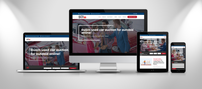 Auto Spot Auction